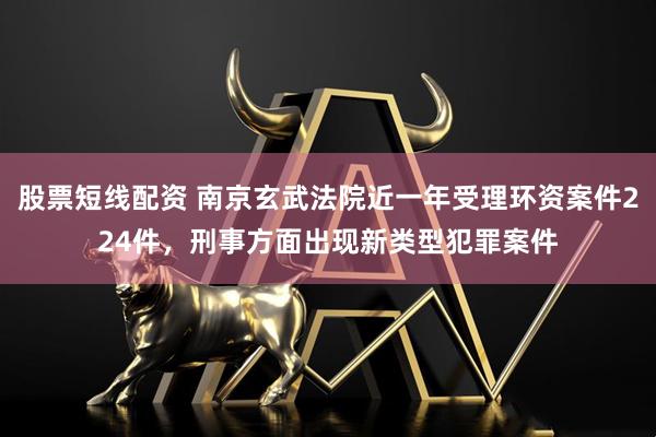 股票短线配资 南京玄武法院近一年受理环资案件224件，刑事方面出现新类型犯罪案件